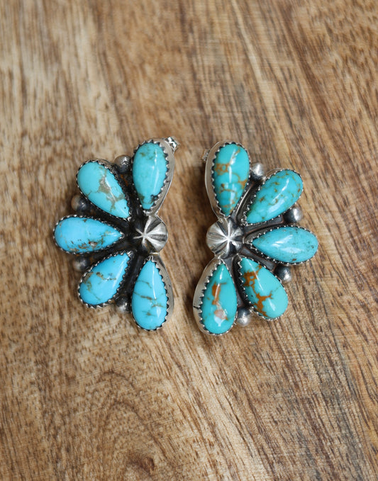 Debra Smith Kingman Half Cluster Earrings