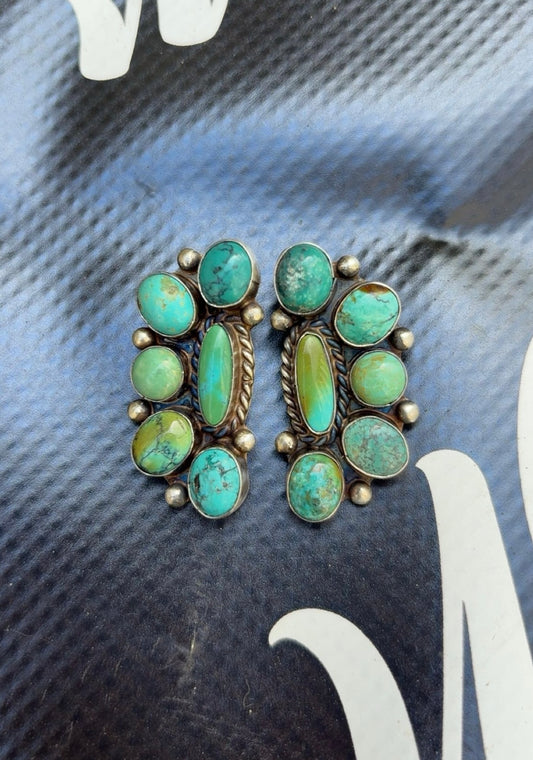 Wilson Dawes SS Turquoise Statement Half Cluster Stud Earrings